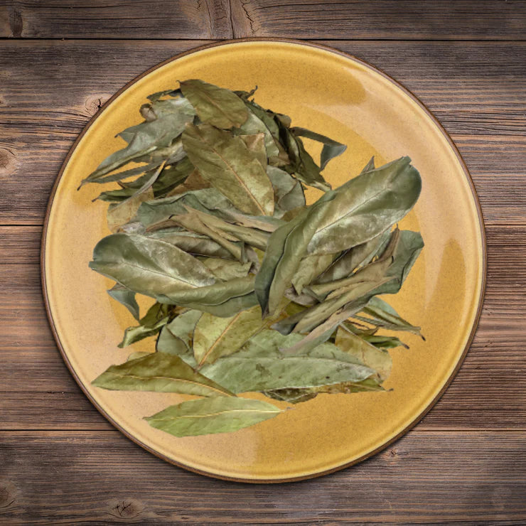 Soursop Leaves Dried