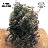 Green Seamoss - Wholesale