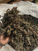 St.Lucian Bladderwrack Seamoss